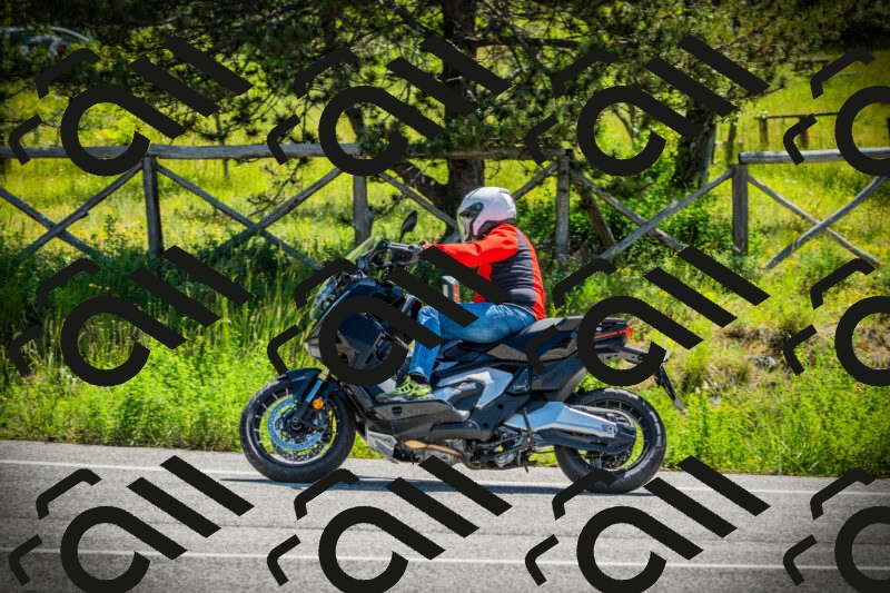 202506021113-DSC03395_c1_