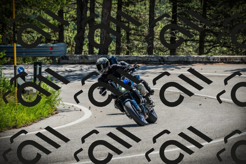 202506021114-DSC03397_c1_