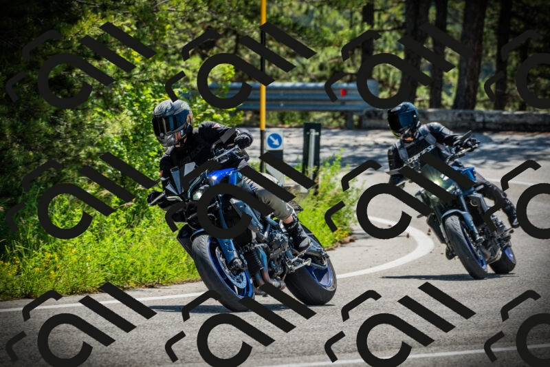 202506021114-DSC03398_c1_