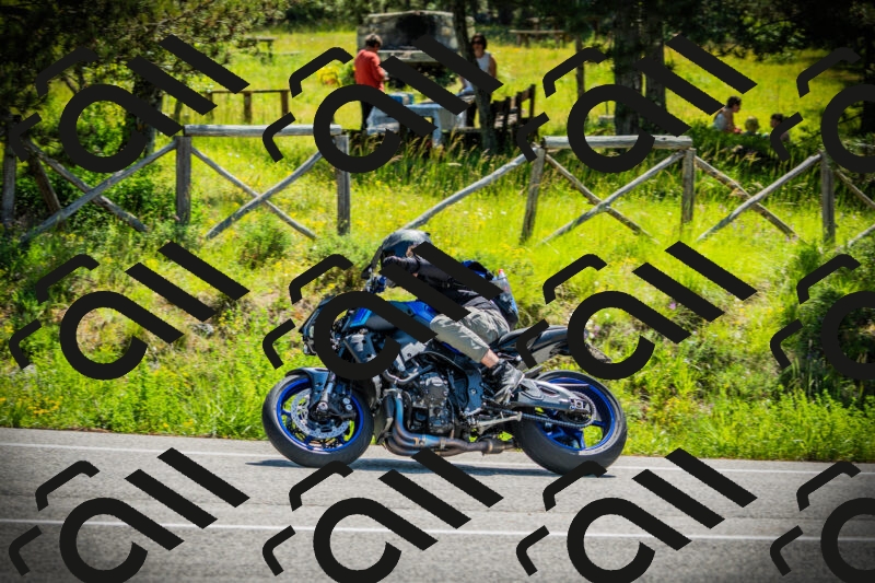 202506021114-DSC03399_c1_