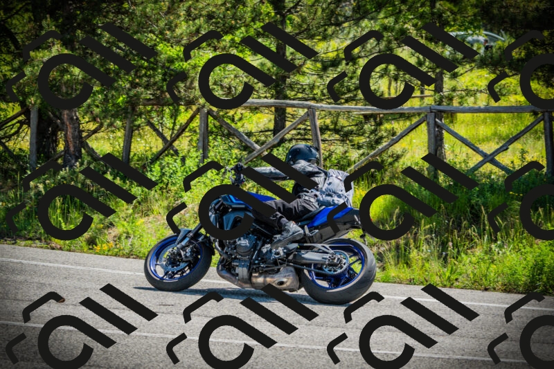 202506021114-DSC03400_c1_