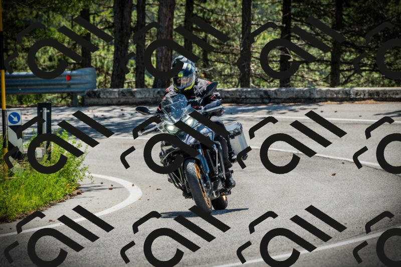 202506021115-DSC03403_c1_