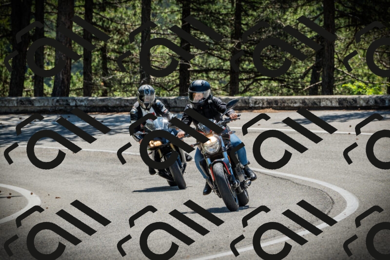 202506021115-DSC03408_c1_