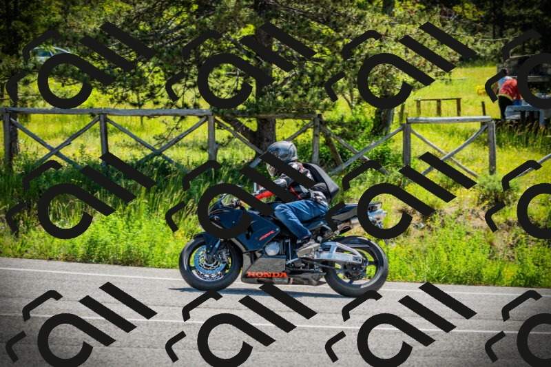 202506021115-DSC03411_c1_