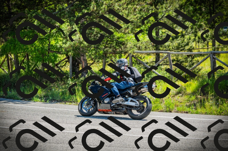 202506021115-DSC03412_c1_