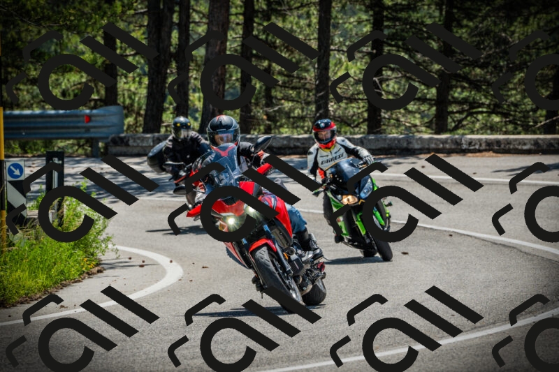 202506021115-DSC03413_c1_