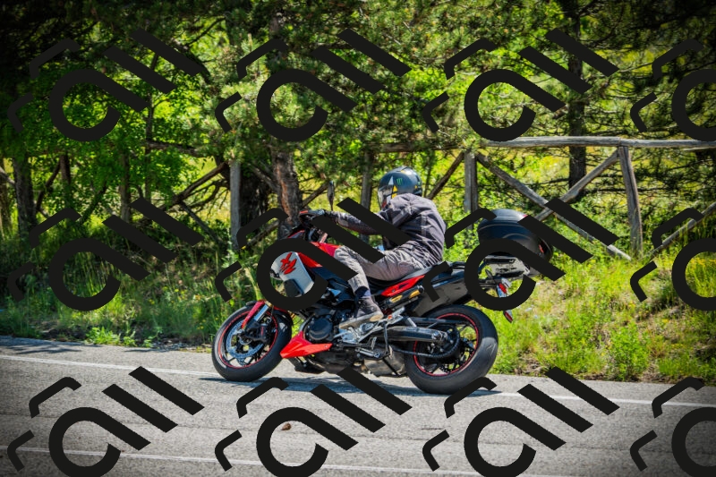 202506021115-DSC03419_c1_