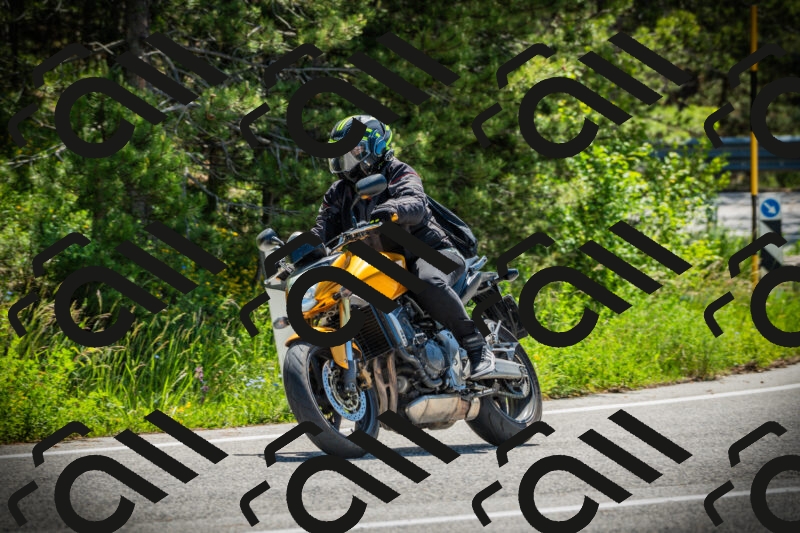 202506021116-DSC03424_c1_