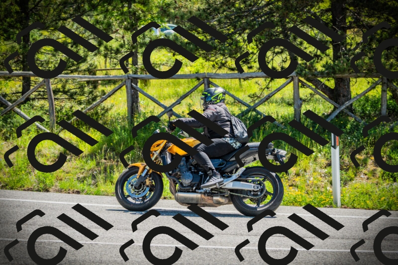 202506021116-DSC03425_c1_