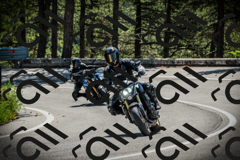 202506021116-DSC03428_c1_