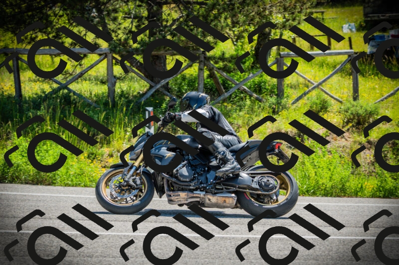 202506021116-DSC03430_c1_