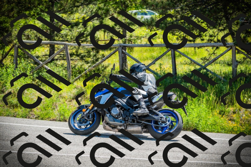 202506021116-DSC03432_c1_