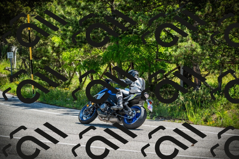 202506021116-DSC03433_c1_