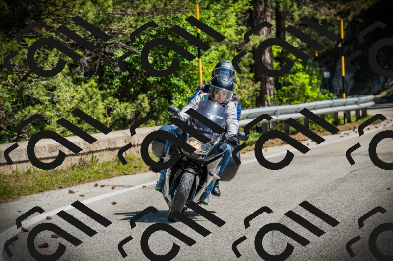 202506021116-DSC03434_c1_