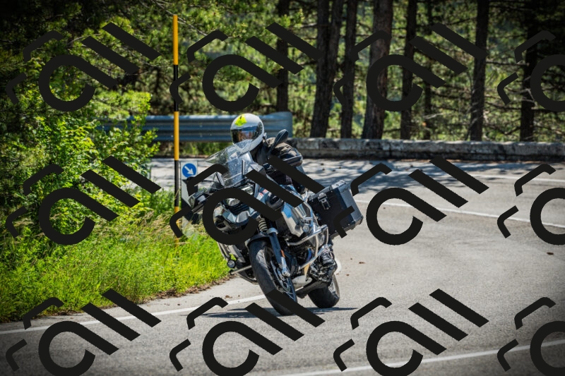 202506021116-DSC03440_c1_