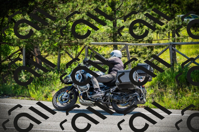 202506021117-DSC03442_c1_