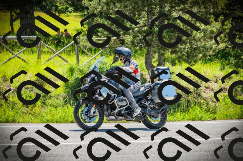 202506021117-DSC03453_c1_