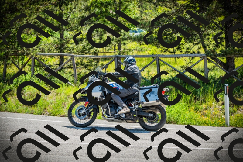 202506021117-DSC03455_c1_