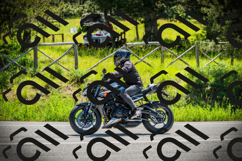 202506021117-DSC03461_c1_