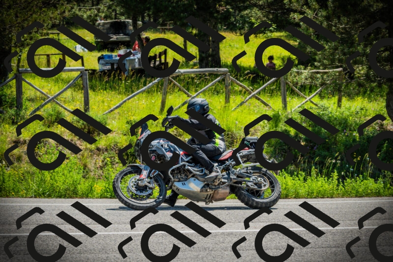 202506021117-DSC03469_c1_