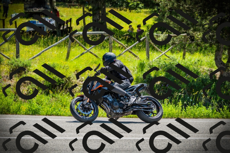 202506021117-DSC03472_c1_