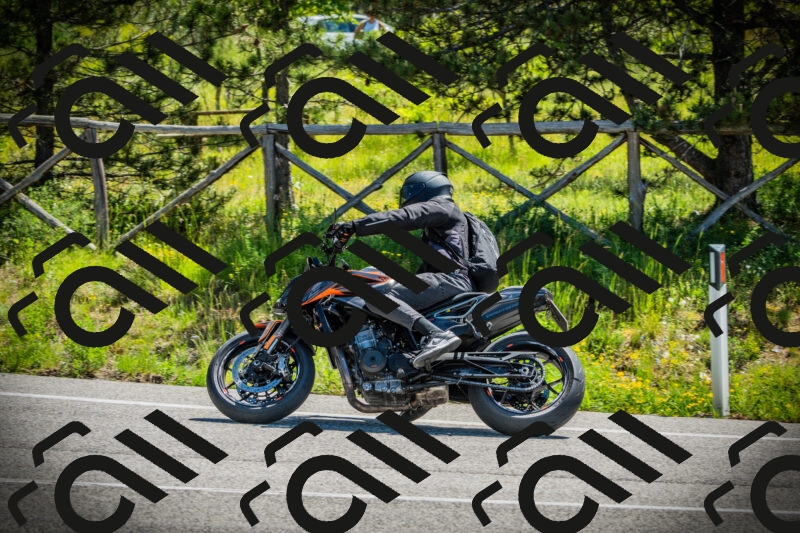 202506021117-DSC03473_c1_