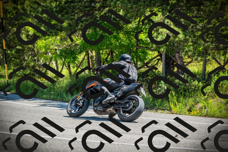 202506021117-DSC03474_c1_