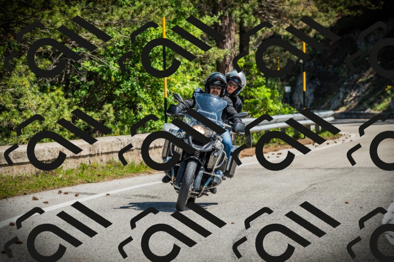 202506021117-DSC03475_c1_