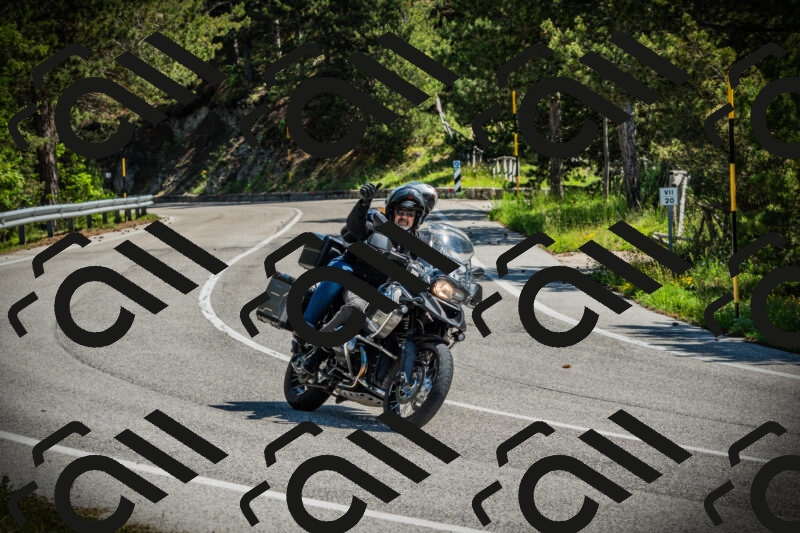 202506021117-DSC03477_c1_