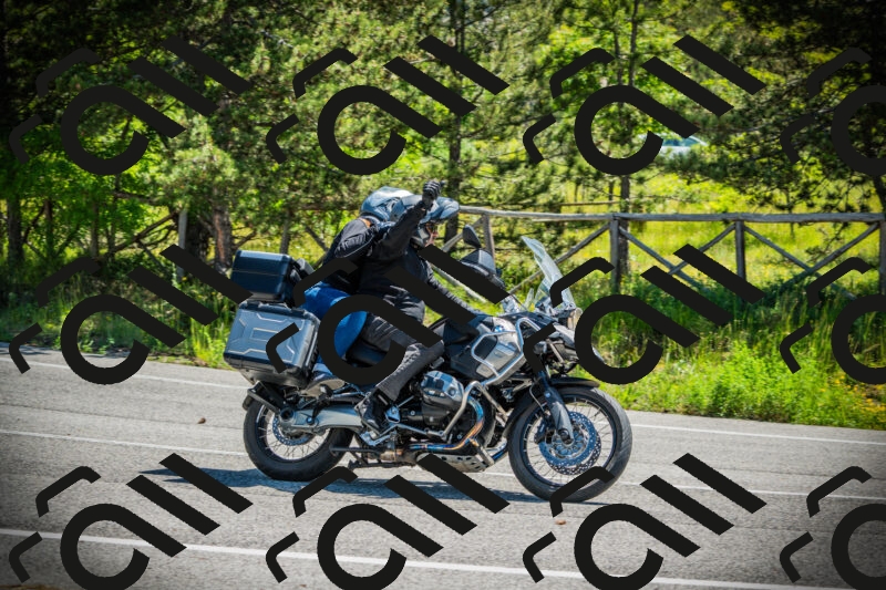 202506021117-DSC03478_c1_