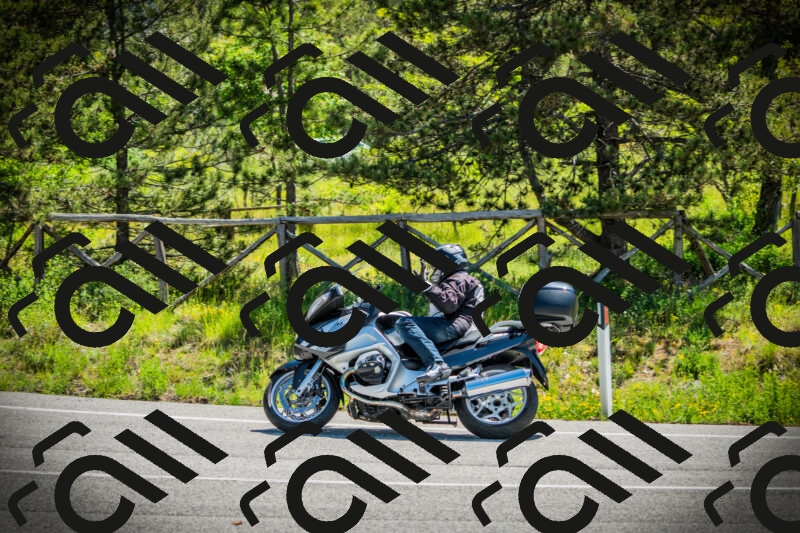 202506021118-DSC03483_c1_