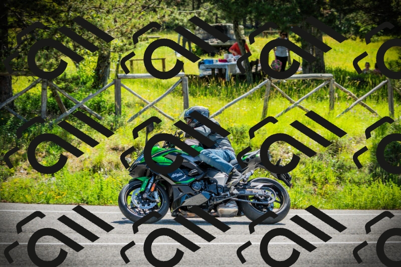 202506021118-DSC03486_c1_