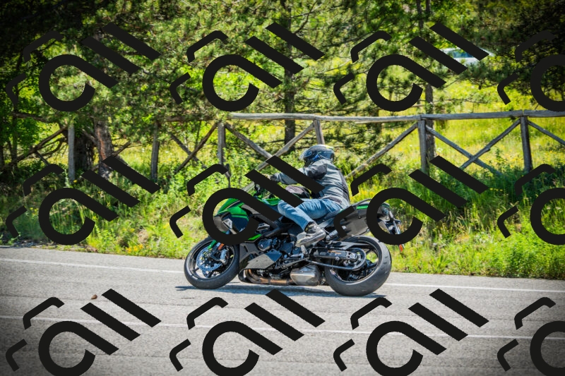 202506021118-DSC03487_c1_