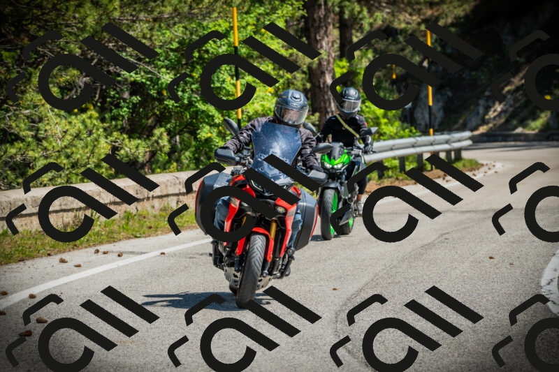 202506021119-DSC03488_c1_