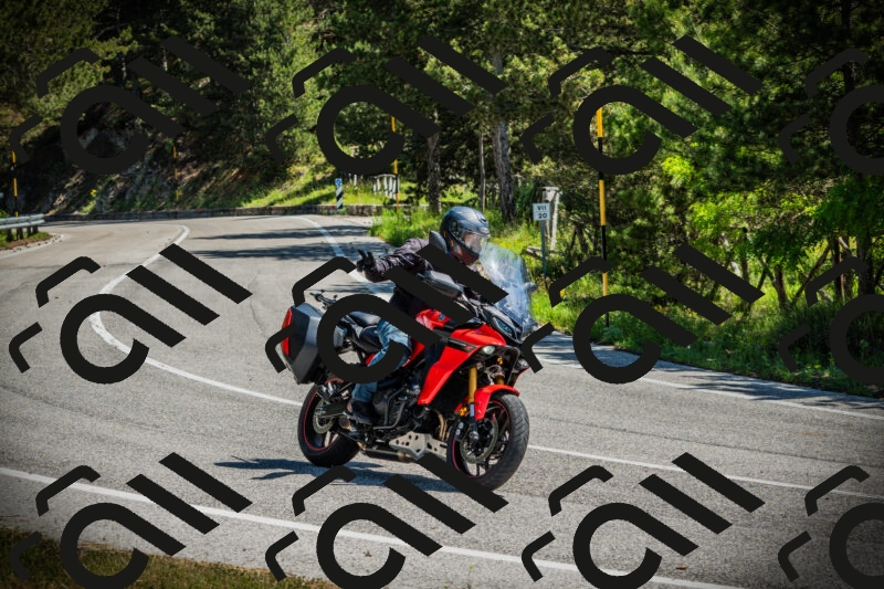 202506021119-DSC03490_c1_