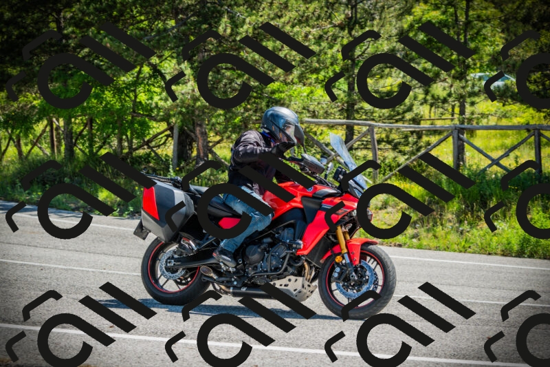 202506021119-DSC03491_c1_