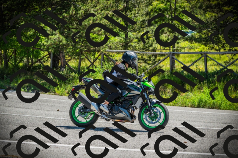 202506021119-DSC03492_c1_