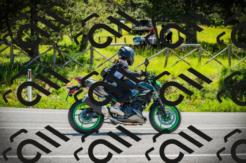 202506021119-DSC03493_c1_