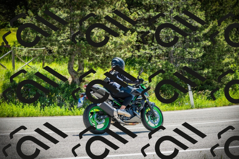 202506021119-DSC03494_c1_