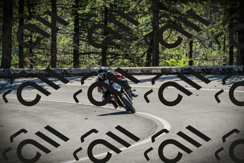 202506021119-DSC03495_c1_