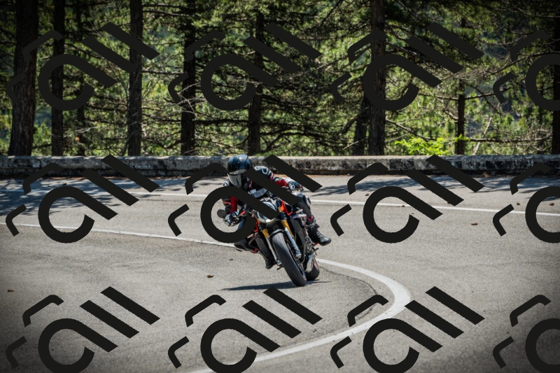 202506021119-DSC03496_c1_