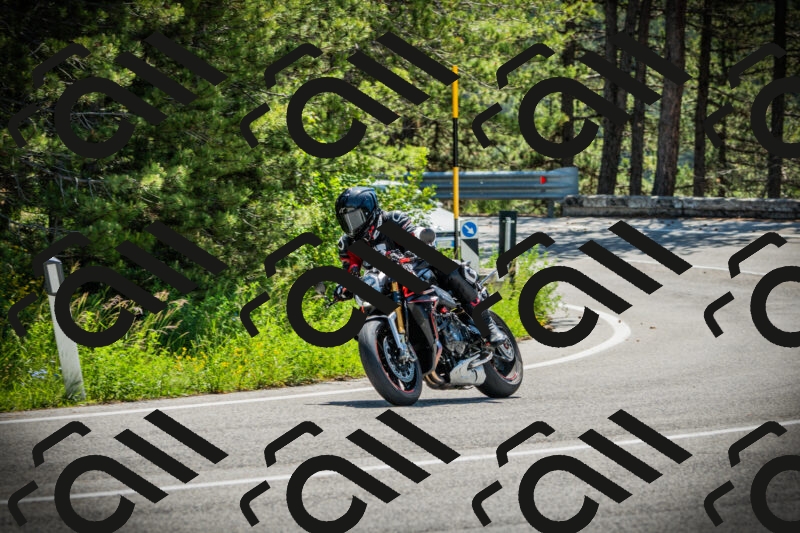 202506021119-DSC03497_c1_