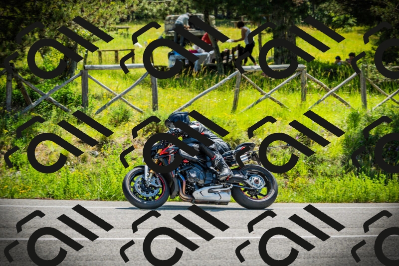 202506021119-DSC03498_c1_