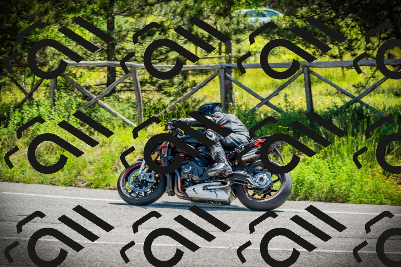 202506021119-DSC03499_c1_