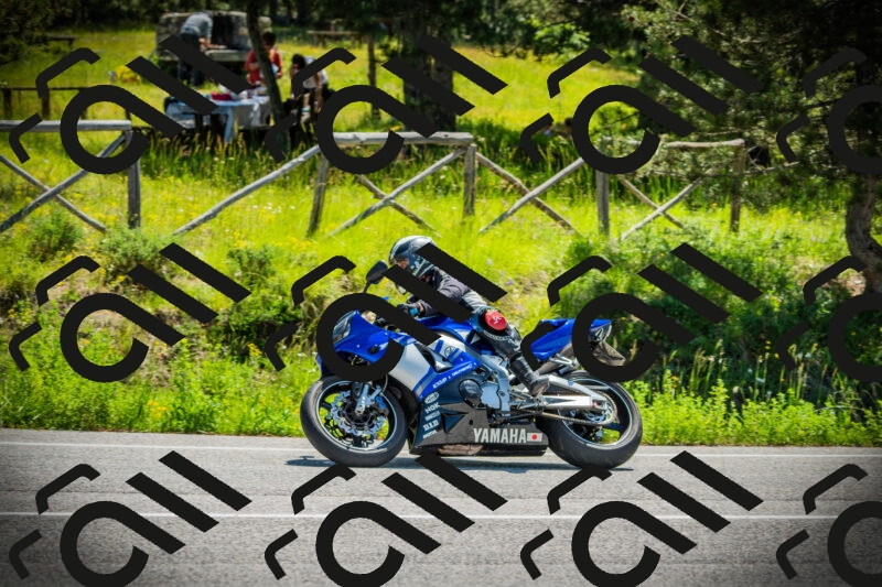 202506021119-DSC03501_c1_