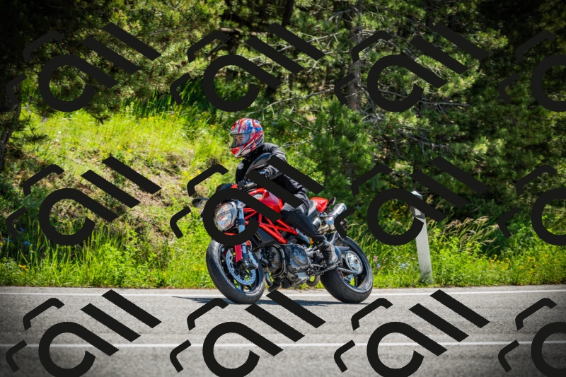 202506021120-DSC03504_c1_