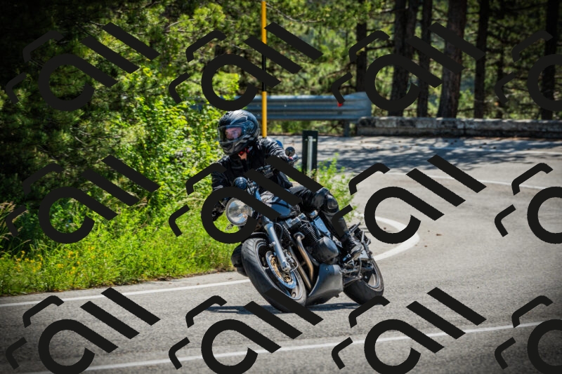 202506021120-DSC03507_c1_