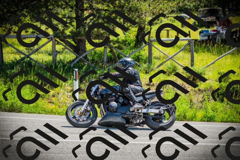 202506021120-DSC03508_c1_