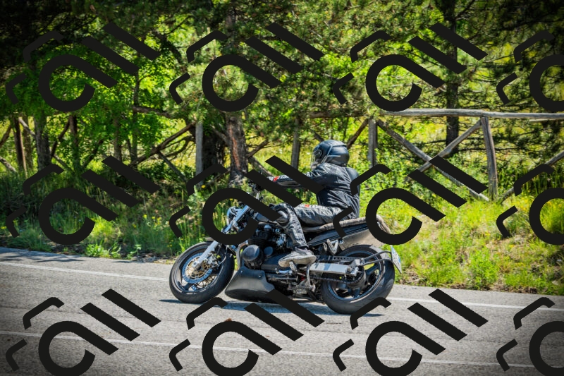 202506021120-DSC03509_c1_