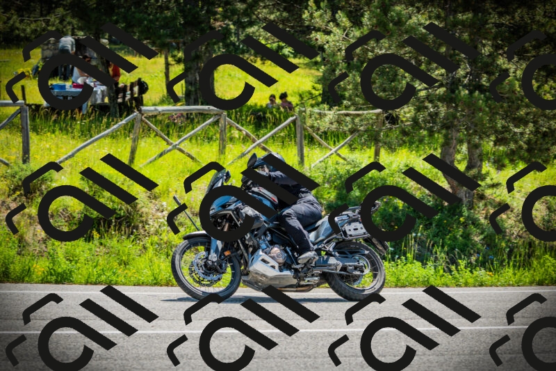 202506021120-DSC03516_c1_